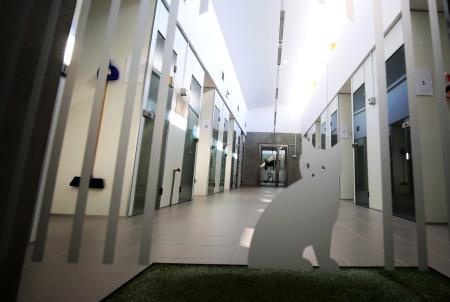 ZAVETIŠČE GMAJNICE PODPIS KONCESIJSKE POGODBE 40 FOTO LJUBO VUKELIČ